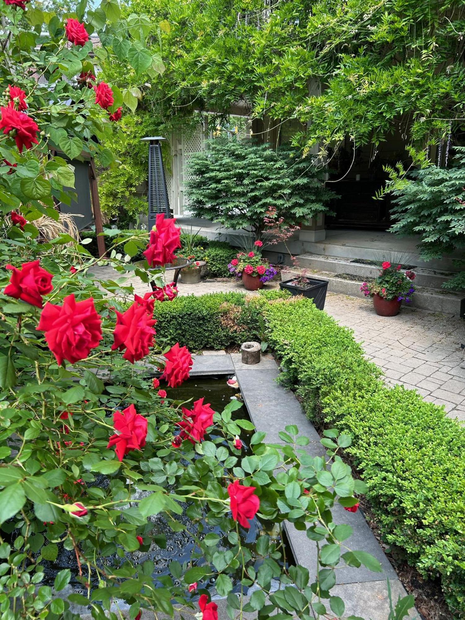 Norfolk Guest House Inn Guelph Exterior foto