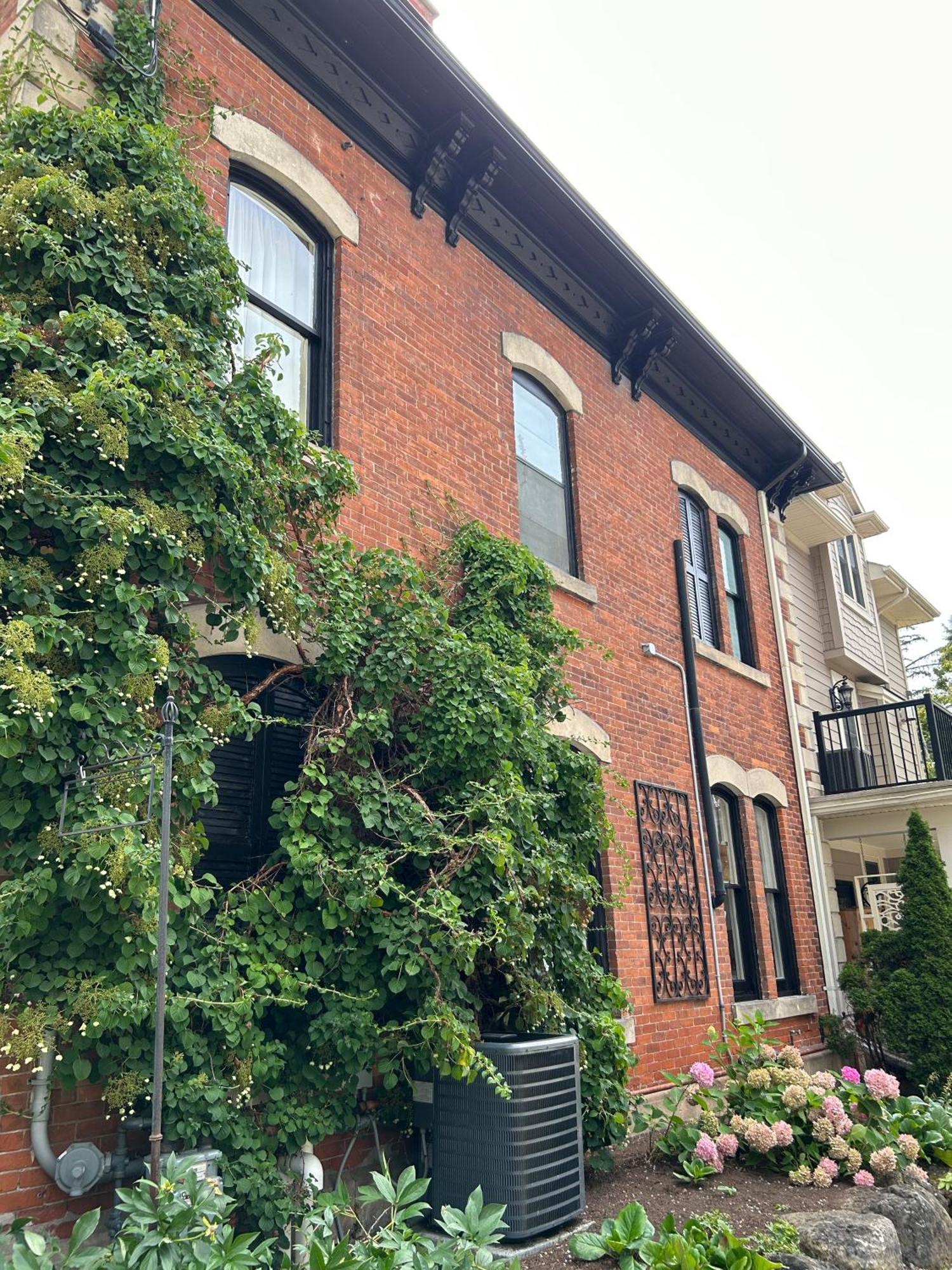 Norfolk Guest House Inn Guelph Exterior foto